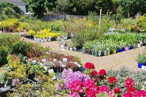 Façade de la Jardinerie Grassot à Brignais avec son aménagement extérieur
