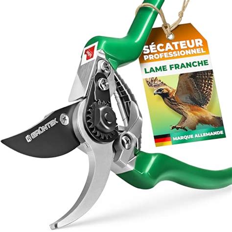 Infographie types de sécateurs (bypass vs enclume)