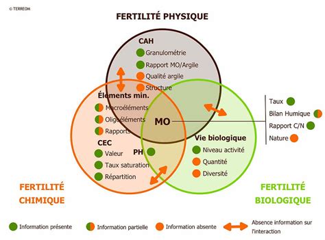 Un agriculteur indien examinant la qualité du sol dans un champ en conversion biologique