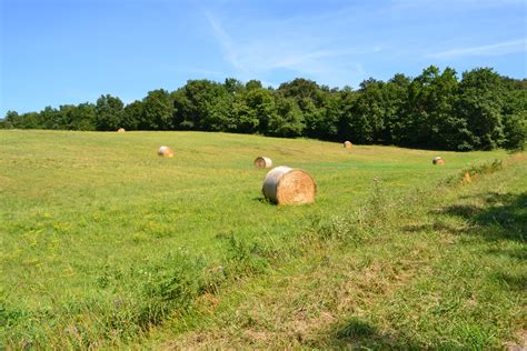 Paysage agricole avec des champs de foin