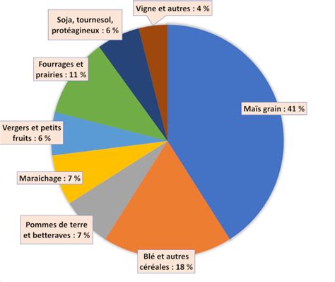 Comparaison des besoins en eau de différentes cultures
