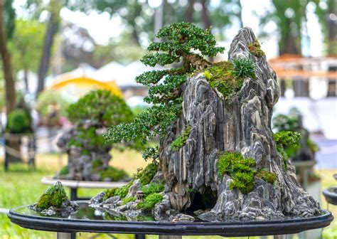 Exemple de penjing chinois