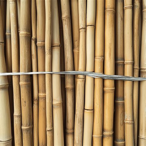Photo de tiges de bambou assemblées pour former un support rigide
