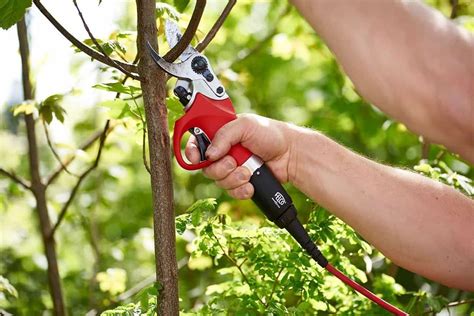 Gamme variée de sécateurs professionnels et outils de coupe manuelle