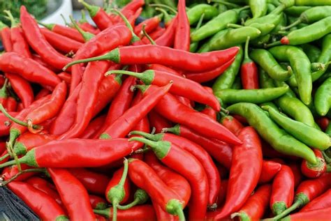 Piment Thaï Dragon mûr