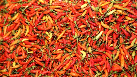 Assortiment de piments thaïlandais frais