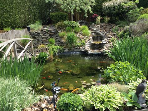 Exemple d'aménagement paysager avec bassin naturel et fontaine à Annecy