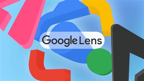 Capture d'écran montrant l'interface d'identification par Google Lens sur une plante ornementale