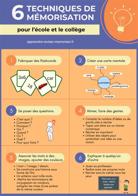 Infographie présentant les méthodes de mémorisation efficaces pour les noms latins