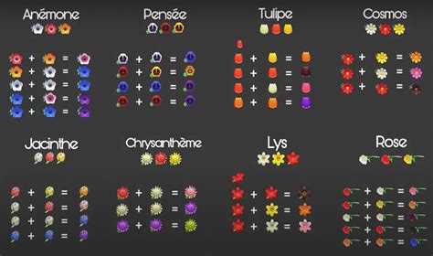 Schéma explicatif du processus de prolifération des fleurs dans Animal Crossing New Horizons