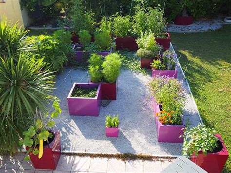 potager diversifié et coloré