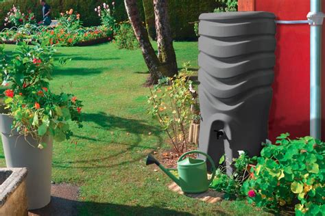 récupérateur d'eau de pluie dans un jardin