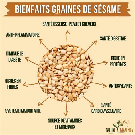 Infographie sur les bienfaits du sésame
