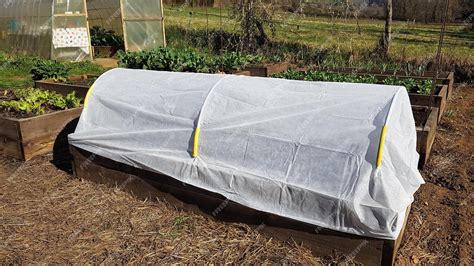 Serre de jardin avec potagers surélevés