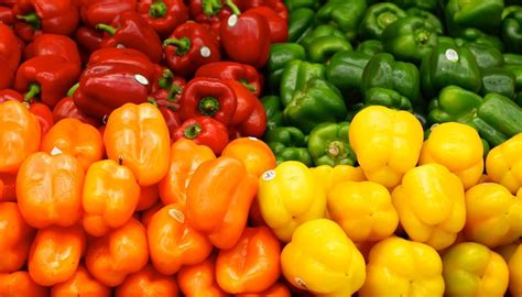Variétés de poivrons colorés