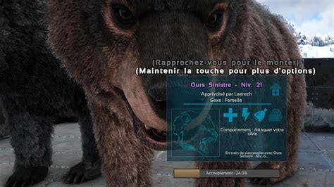 Schéma des régions de couleurs de l'Ours Sinistre pour les commandes console