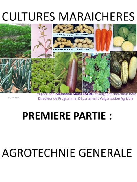 Infographie sur les types de cultures maraîchères