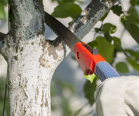 Scie sabre utilisée pour élaguer un arbre