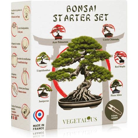 Un kit de culture de bonsaï complet avec graines, terre et accessoires