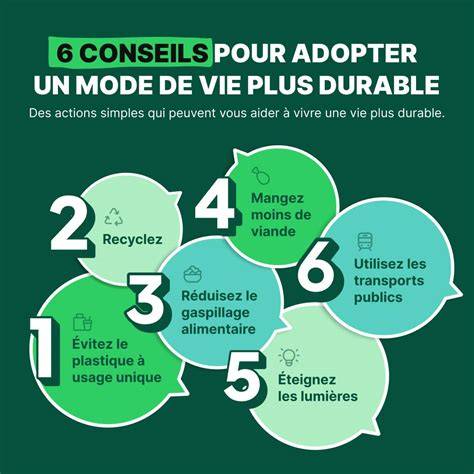 Infographie présentant les différentes manières de consommer l'hibiscus