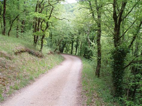 Sentier forestier du Chemin des Chèvres