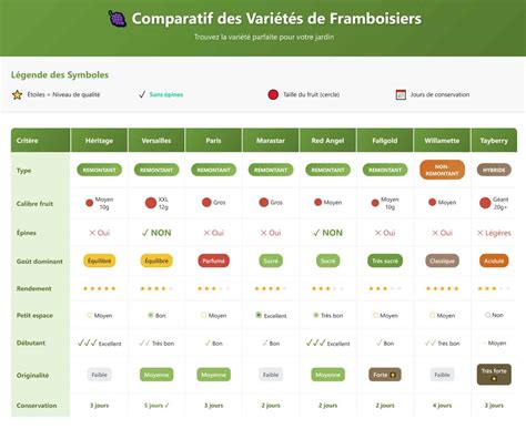Comparatif variétés framboisiers