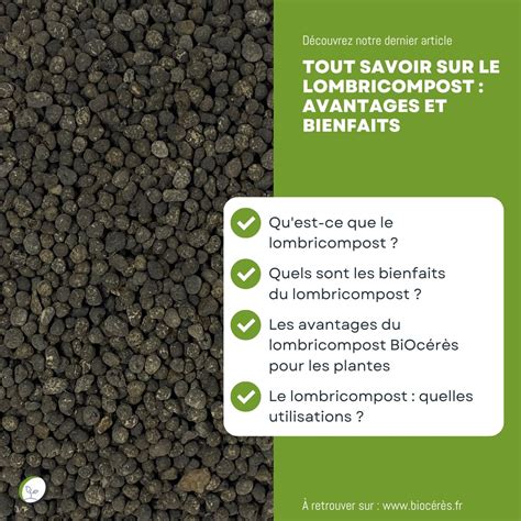 Infographie sur les bienfaits du lombricompost pour les plantes