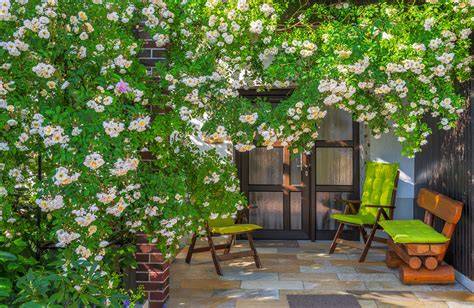 terrasse ombragée avec plantes en pots