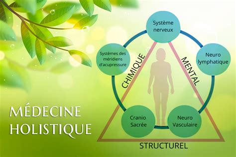 Diagramme illustrant l'approche holistique du soin de la peau