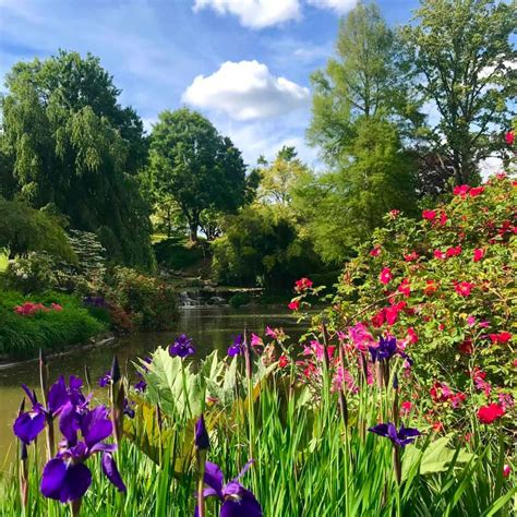 Paysage de jardin verdoyant avec des fleurs colorées