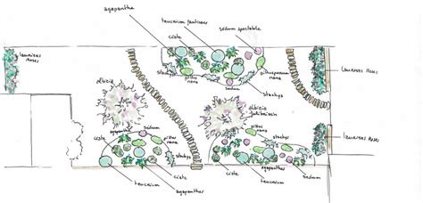 Croquis d'un plan de jardin avec différentes zones