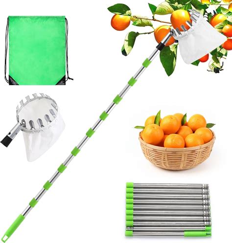 Outil de cueillette de fruits avec panier en métal et manche télescopique