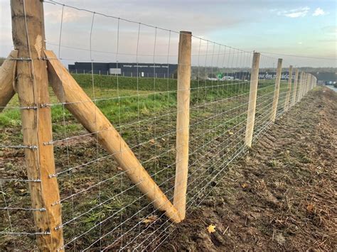 Schéma de montage d'un grillage à mouton comme tuteur de tomate