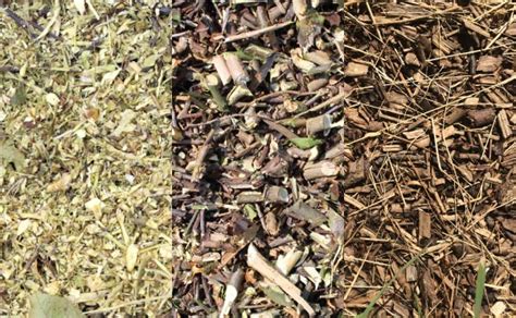 Comparaison de différents types de copeaux de bois (naturels, broyat, colorés)