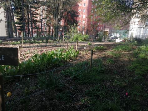 Jardin du Collège Pierre Mendès France Paris