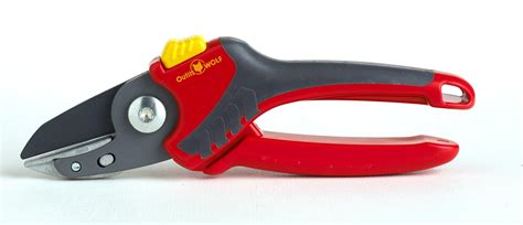 Sécateur à crémaillère en action