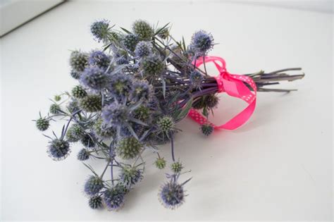 Bouquet de fleurs séchées de chardon bleu