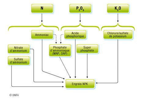 Schéma illustrant la composition NPK d'un engrais complexe