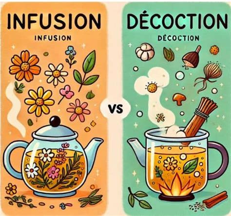 Schéma illustrant les différentes méthodes de préparation : infusion, décoction et purin