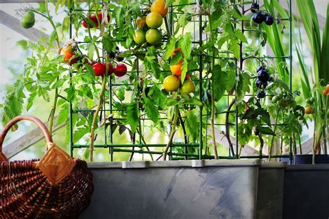 Vue d'ensemble du potager Calipso sur un balcon aménagé avec ses accessoires