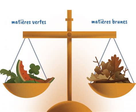 Diagramme illustrant l'équilibre entre matières brunes (carbone) et matières vertes (azote)