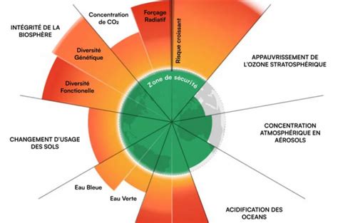 Schéma illustrant les correspondances planétaires et élémentaires des plantes magiques