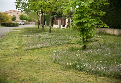 Schéma illustrant la gestion des espaces verts dans un environnement urbain et hôtelier