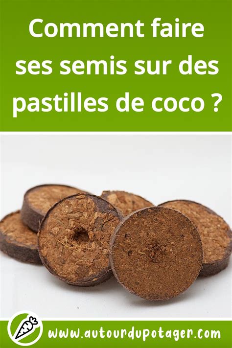 schéma illustrant le semis en pastilles de coco