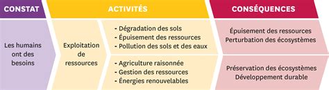 Schéma d'application des solutions naturelles BENTOBIO et CHITOPROTECT