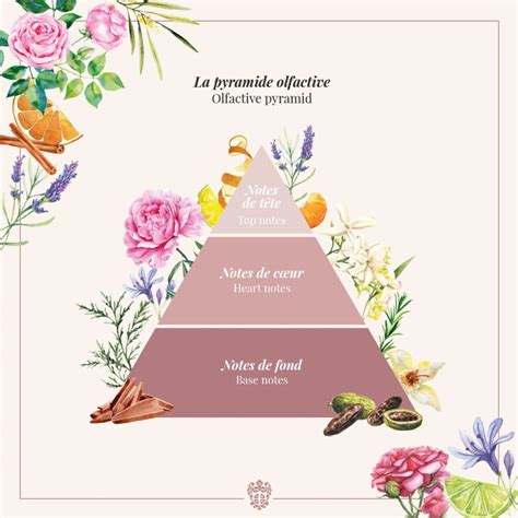Infographie montrant la pyramide olfactive du jasmin et ses associations courantes