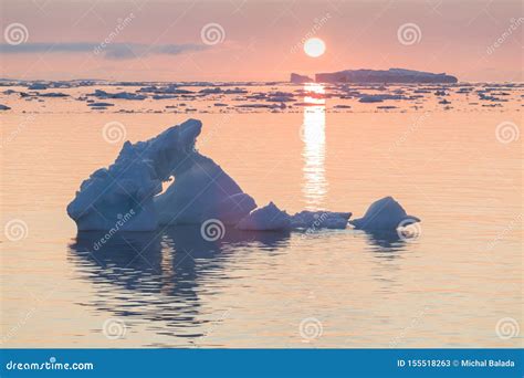 Paysage arctique avec des icebergs
