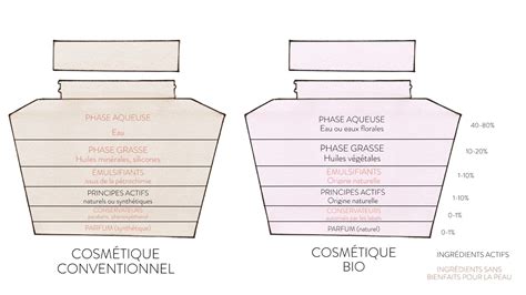 Vue d'ensemble des ingrédients naturels clés utilisés dans la formulation du rouge à lèvres, présentés sous forme de carte conceptuelle