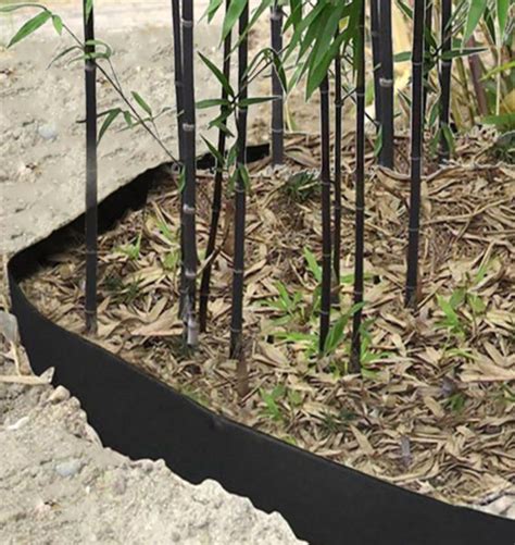 Barrière anti-rhizomes pour bambou