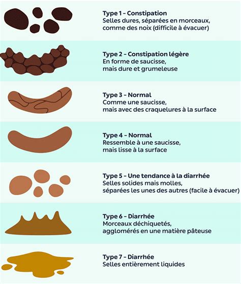 Illustration des différents types de selles et leur signification